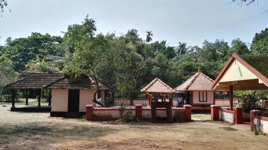 Aarsha Yoga Vidya Peetham Kollam Kerala