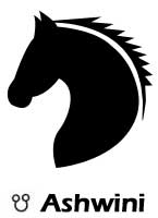 Cheenu Name Ashwini Nakshatra Aspect in Vedic Astrology