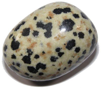 Dalmatian Jasper Stone