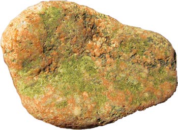 Unakite Mineral
