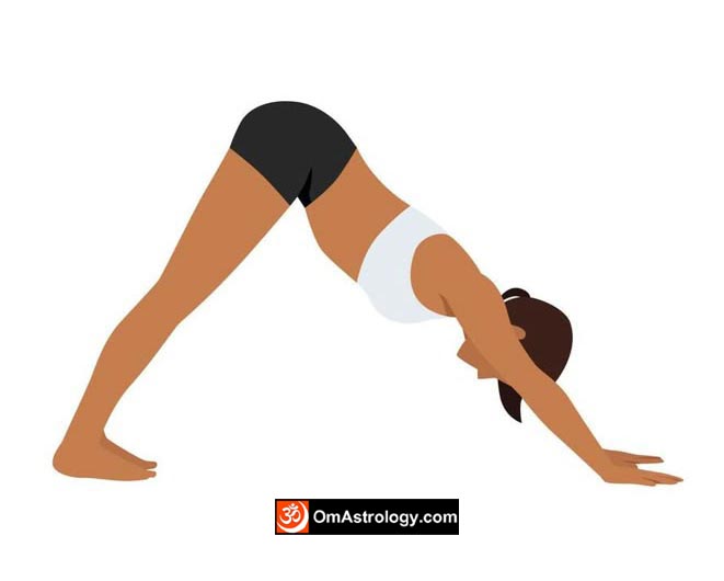 adho mukha svanasana yoga pose (downward-facing dog pose) meaning uses