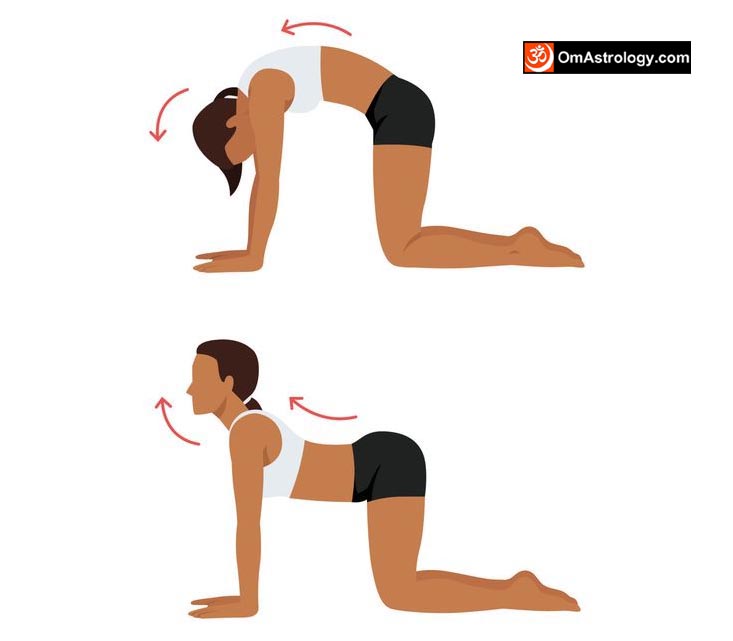 Marjaryasana Bitilasana yoga pose (Cat Cow Pose) meaning uses