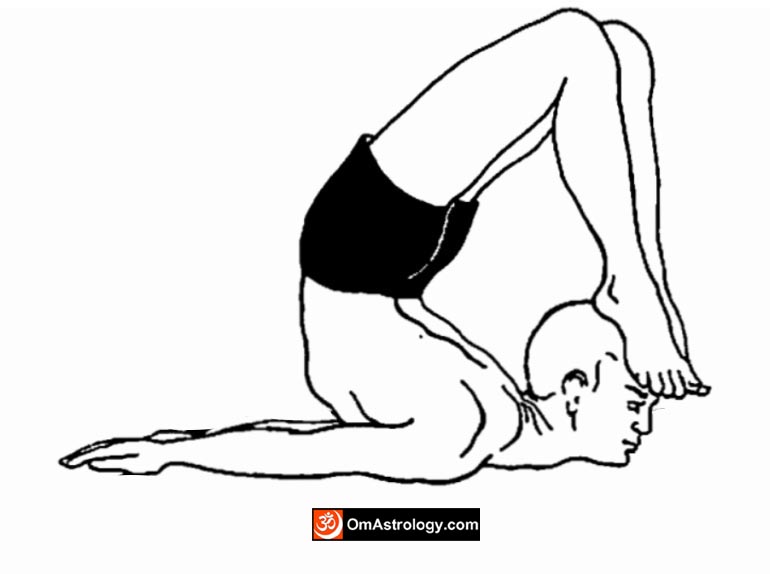 poorna salabhasana yoga pose (full locust pose) meaning uses