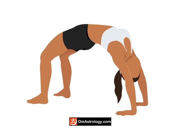 urdhva dhanurasana yoga pose (upward bow or wheel pose) meaning uses