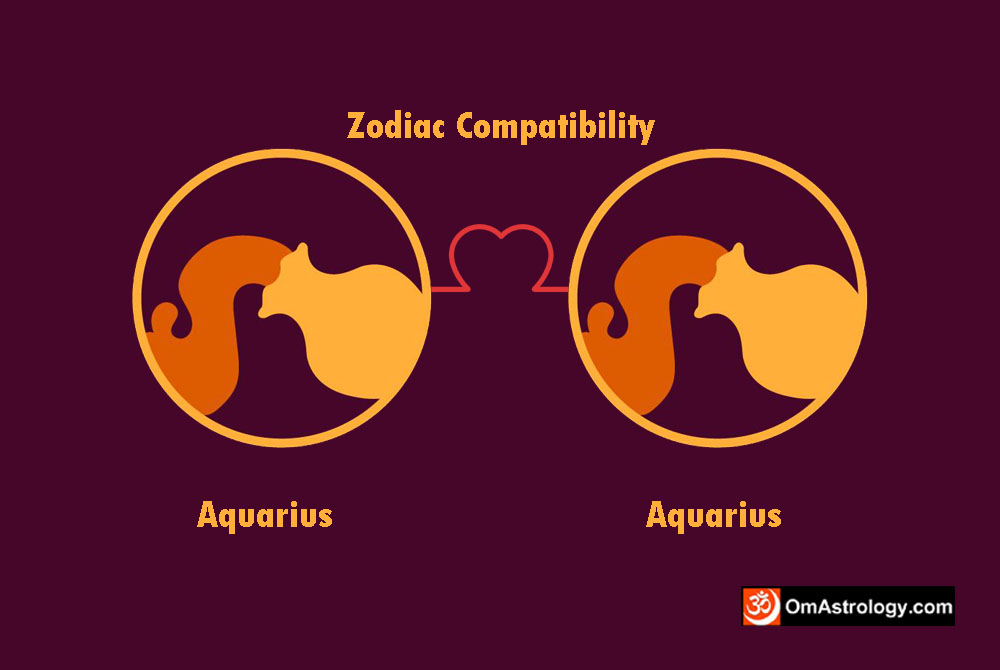 aquarius aquarius compatibility love friendship marriage relationship