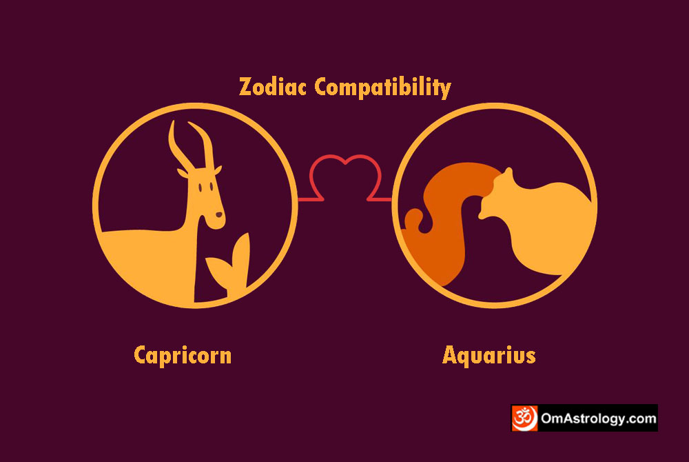 capricorn aquarius compatibility love friendship marriage relationship