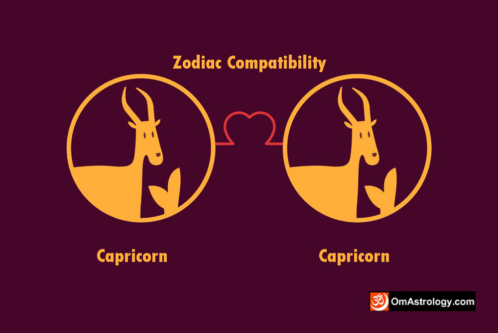 capricorn capricorn compatibility love friendship marriage relationship